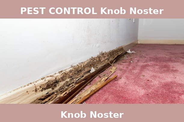 PEST CONTROL Knob Noster